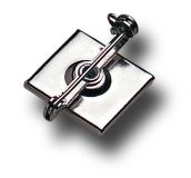 Nadel drehbar mit selbstklebendem Rcken - 100 Stck